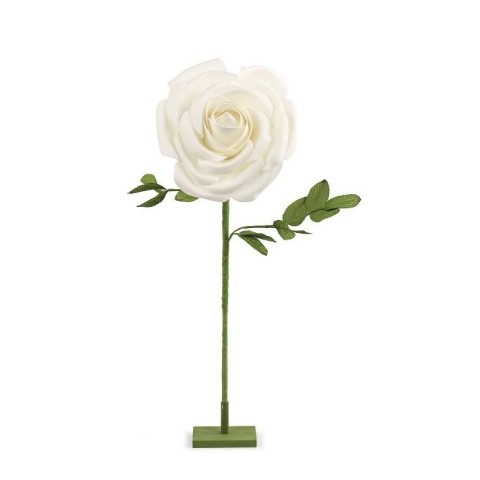 ROSA BIANCA CON STELO H77 D30